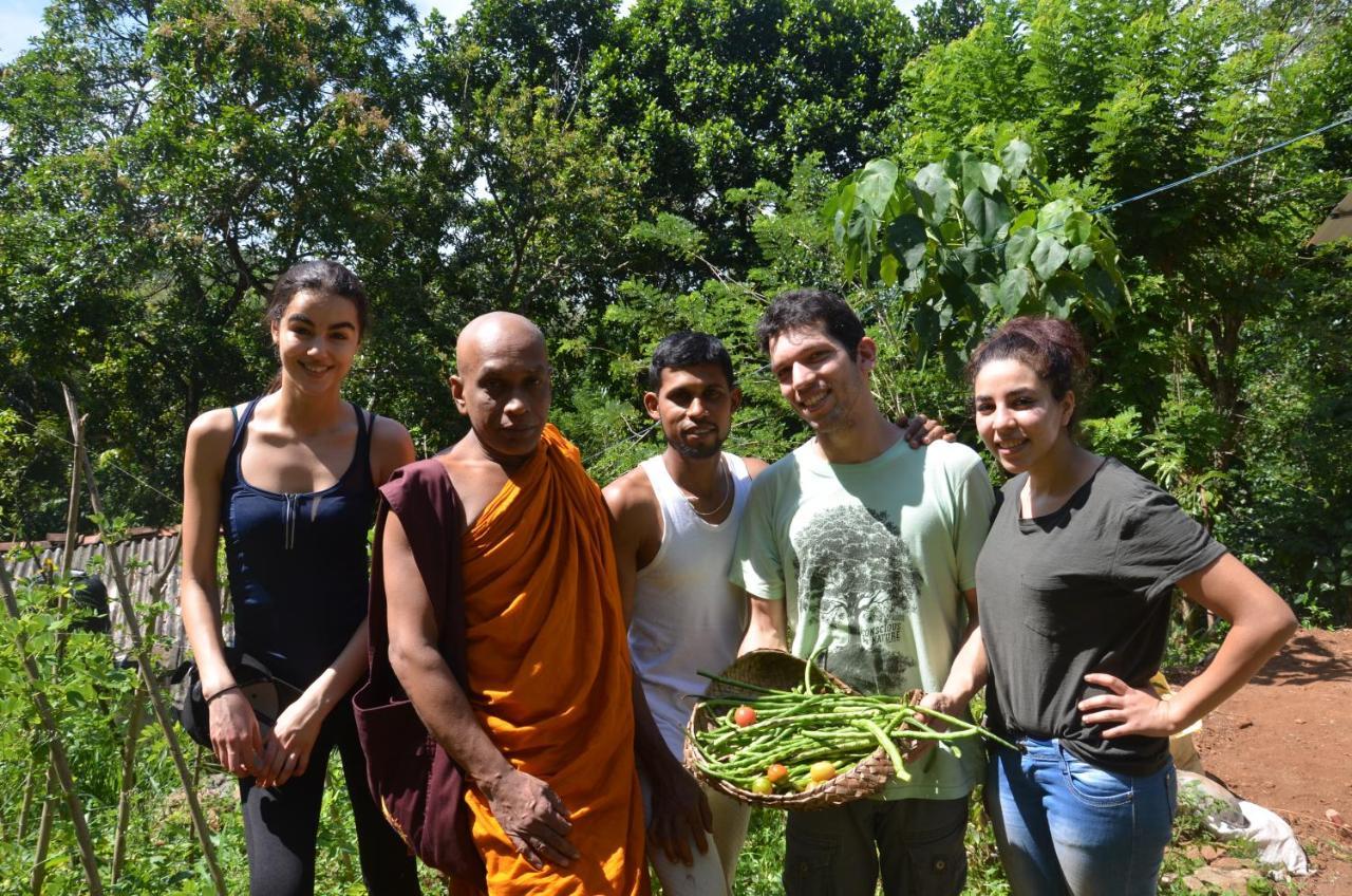 Spiritual Nature Farm - Sri Lanka Matale Exteriör bild